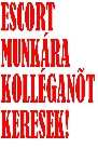 CSINOS KOLL�GAN�T KERESEK!