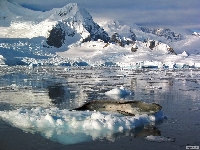 Antarktisz - Termszeti csoda