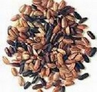 Az E-vitamint b�zacs�ra, sz�jabab, n�v�nyi olajok, brokkoli, spen�t, d�s�tott liszt, korp�s b�za, toj�s �s gabonamag�vak tartalmazz�k nagy mennyis�gben