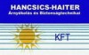 Biztonsgtechnika - Hancsics-Haiter rnykols s Biztonsgtechnika