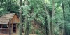 Arbortumok - Jeli arbortum