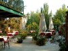 Panzik - Panzi Art Cafe