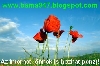 MLM - Ami msnak mg eszbe sem jutott....