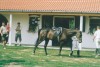 Lovasturizmus - Trk Lovastanya