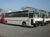 Autbusz brls - Jeneibusz Szemlyszllts Nyregyhza