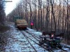Kisvasutak - Nagybrzsnyi Erdei Vast