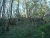 Egyb ltnivalk - Bockereki-erd