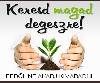 Tvmunka-szervezs - Keresd Magad Degeszre!