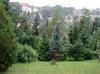 Arbortumok - Mesterhzy Fenygyjtemny