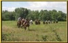Lovasturizmus - Szelle lovasudvar