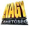 MLM - Otthoni internetes tvmunka