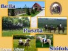 Tristahz - Sifok Bella Lovas udvar