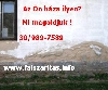 ptipari kivitelez - Legegyszerbb s legolcsbb falszrts!